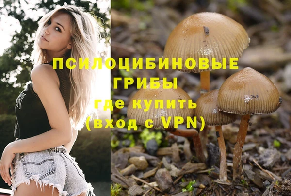 гидра Белокуриха