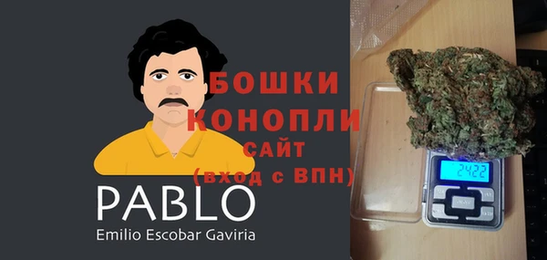 гидра Белокуриха