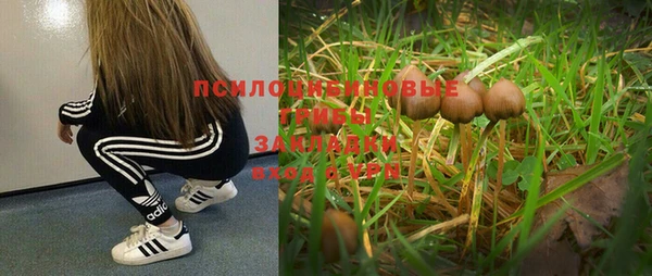 винт Беломорск