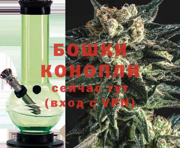 гидра Белокуриха