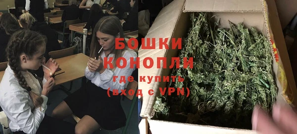 гидра Белокуриха