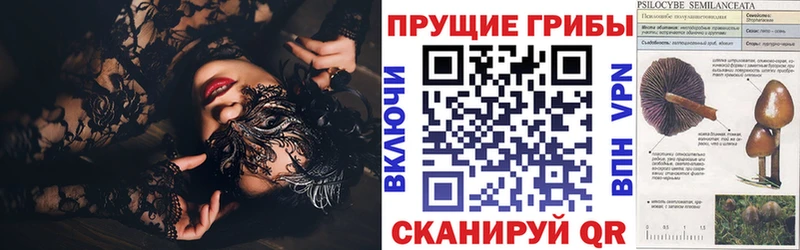 Псилоцибиновые грибы Magic Shrooms Болотное